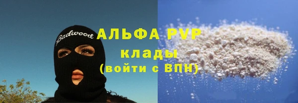индика Белоозёрский