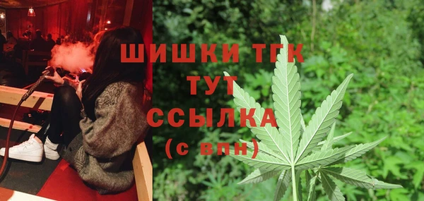 дмт Белокуриха