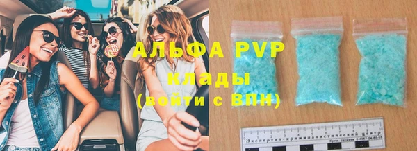прущие грибы Беломорск